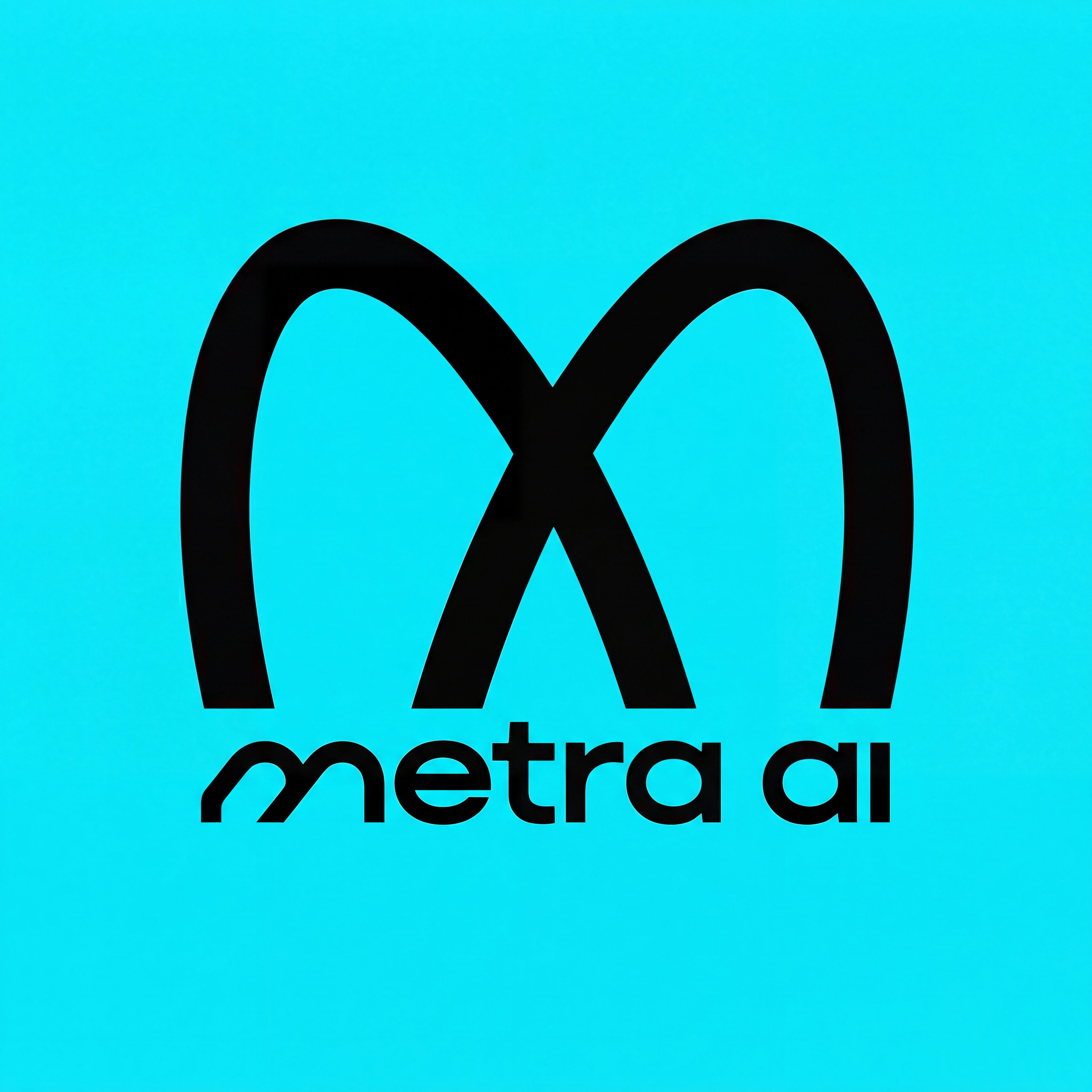 Metra AI